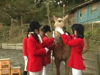 Get Ready for a Fucking Japan Trip - Nippon XXX Porn Sites