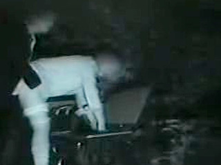 Japan's Lush Greenery Sets the Stage for Steamy Public Fucking